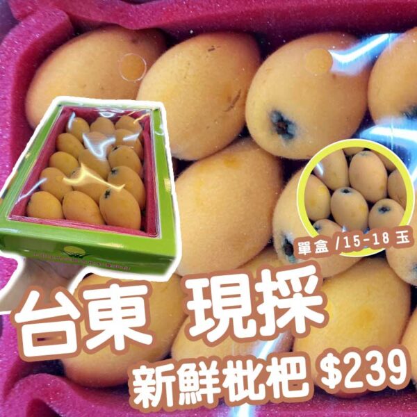 [嚴選品質] 台灣台東 ( 現採鮮甜枇杷 )