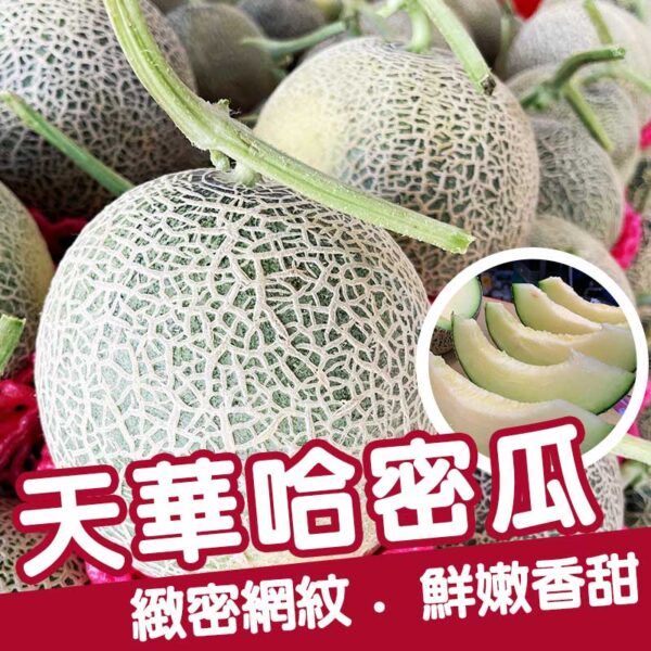 [嚴選品質]台灣在地嚴選(天華哈密瓜)