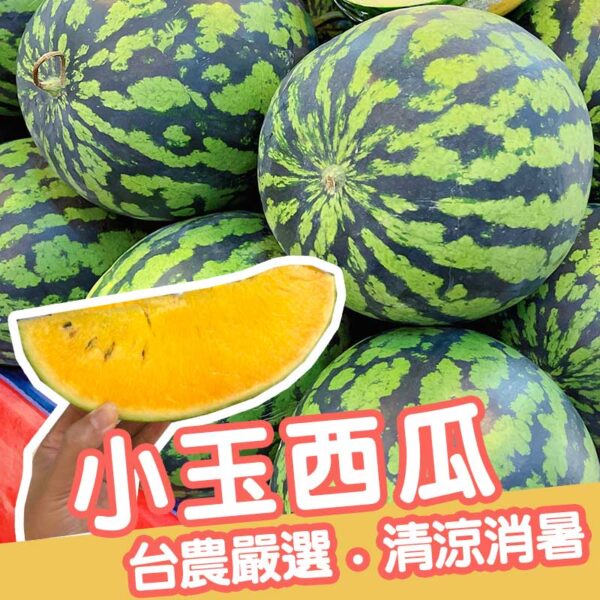 [嚴選品質]台灣在地嚴選(小玉西瓜)