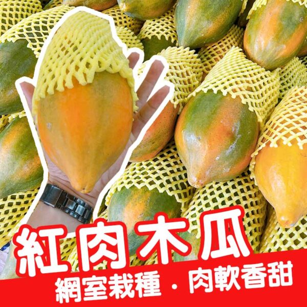 [嚴選品質]台灣在地特選(紅肉木瓜)