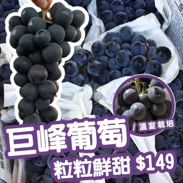 [嚴選品質]台灣本土(巨峰葡萄)
