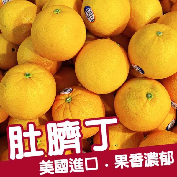 美國進口 ( 肚臍丁 )