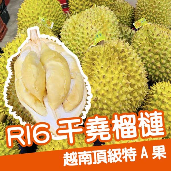 ［嚴選品質] 越南頂級特A果 (RI6干堯榴槤 )