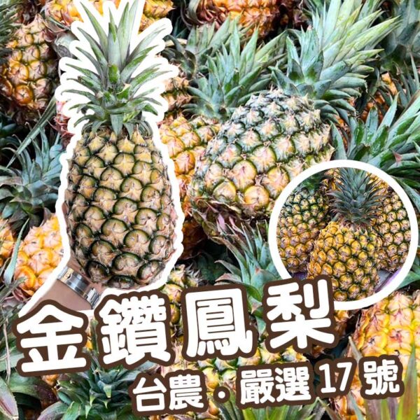 [嚴選品質]台灣本土(台農17號金鑽鳳梨)